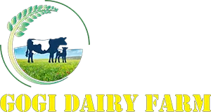 Gogi Dairy Farm